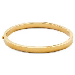 Arie | Gold-Tone Stainless Steel Bangle Bracelet