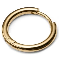 Gold-Tone Hoop Earring
